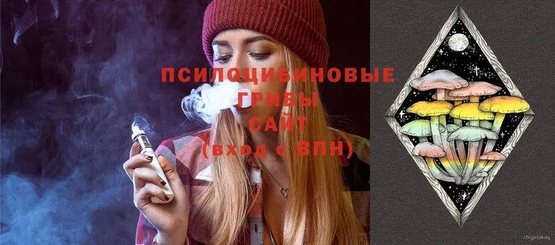 Псилоцибиновые грибы Psilocybe  Амурск 